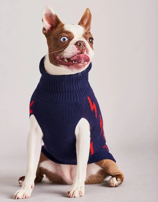 TINY WOLF | Lightning Bolt Dog Sweater - Image 2