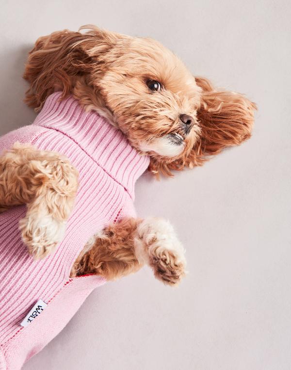 TINY WOLF | Love Heart Dog Sweater - Image 3
