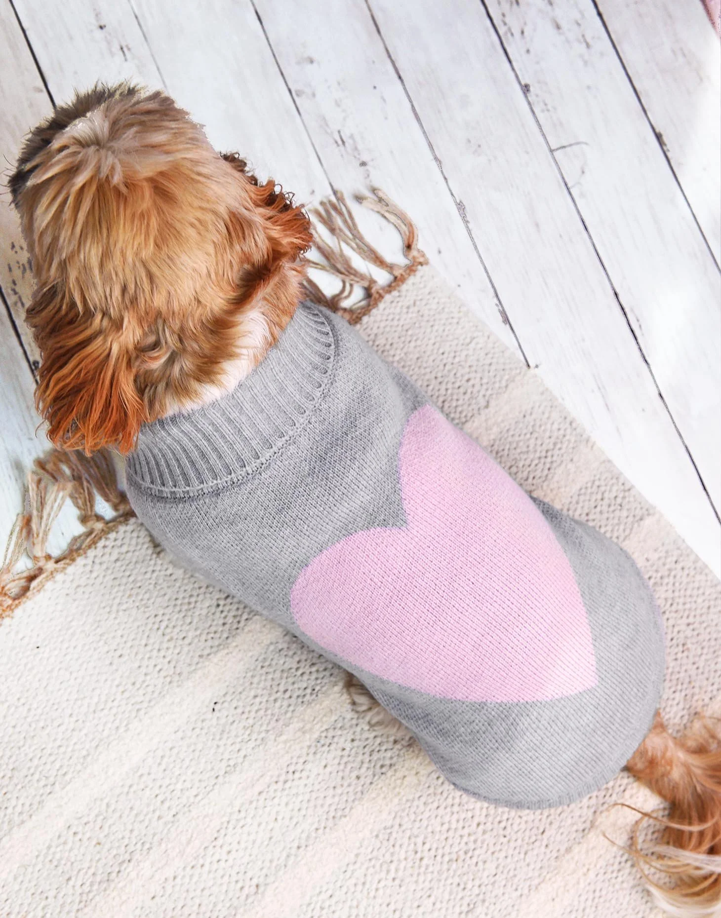 TINY WOLF | Love Heart Dog Sweater in Grey - Image 3