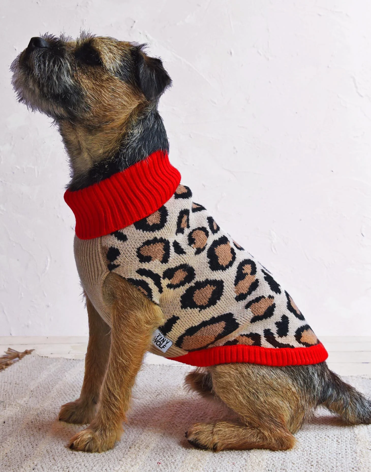 TINY WOLF | Red Leopard Print Dog Sweater - Image 3