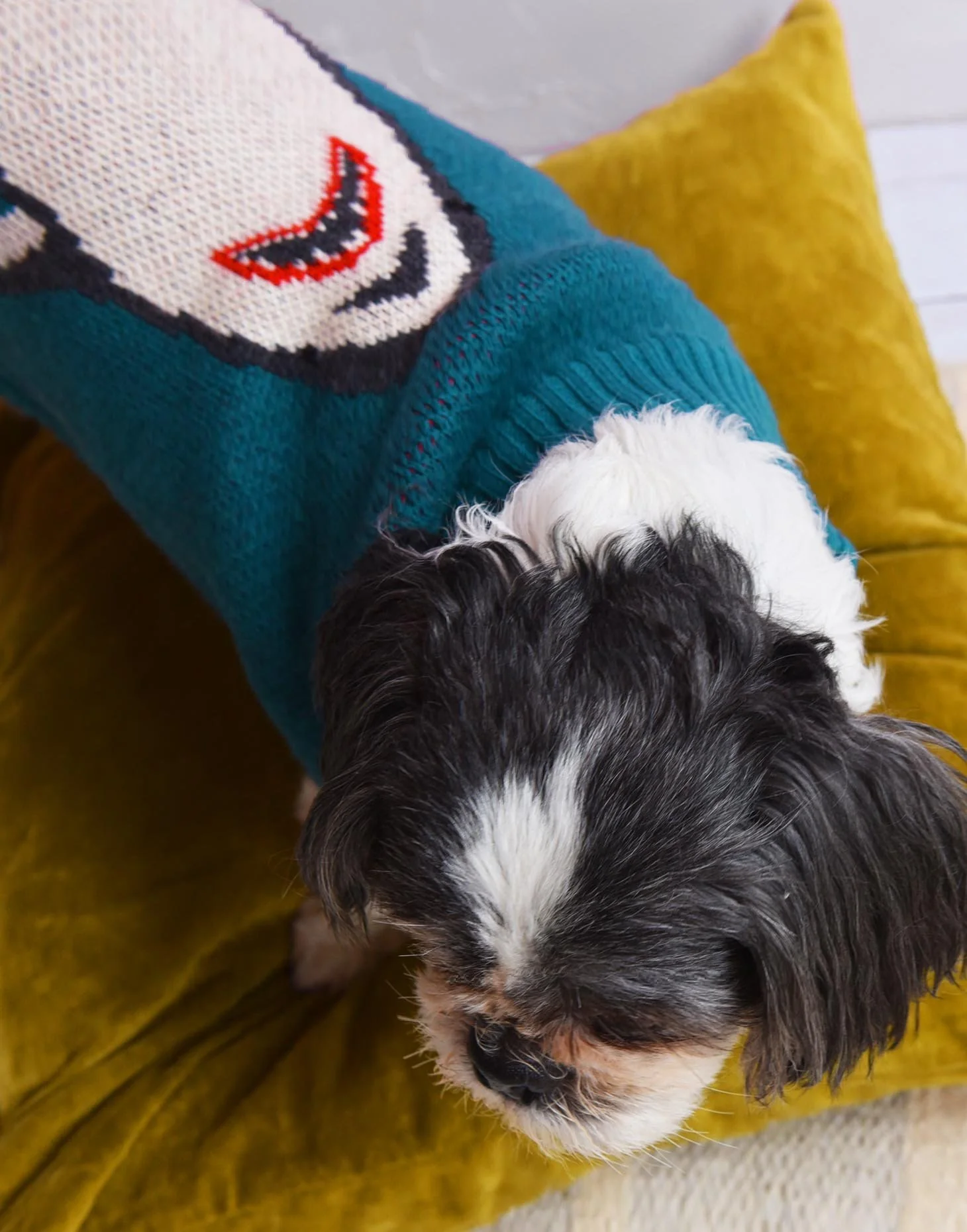 TINY WOLF | Shark Attack Sweater - Image 3