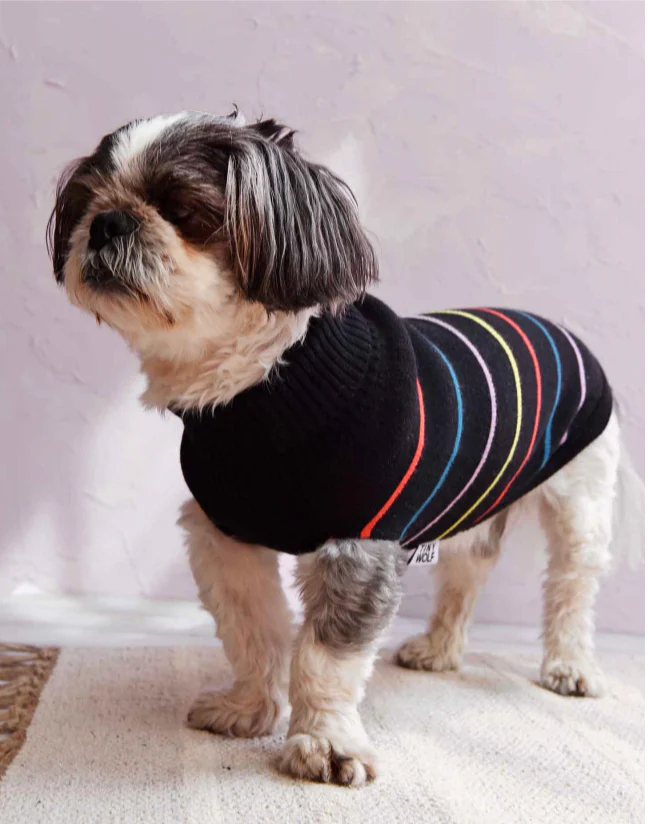 TINY WOLF | Stripe Dog Sweater - Image 2