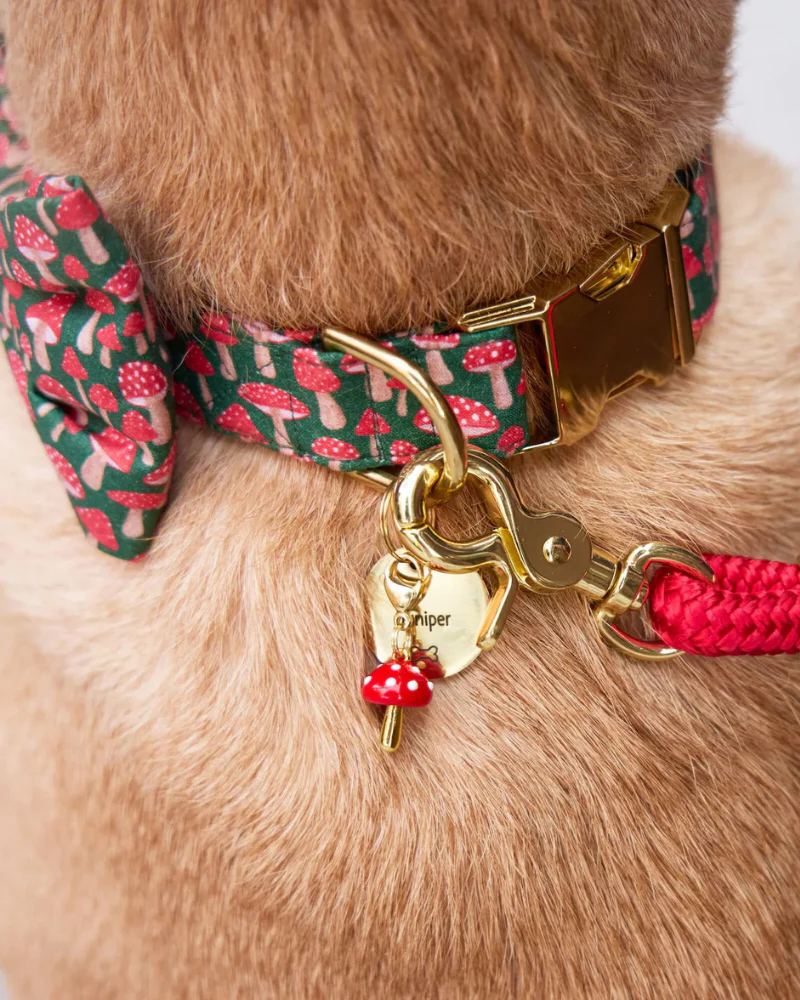 Toadstool Dog Collar Charm - Image 4