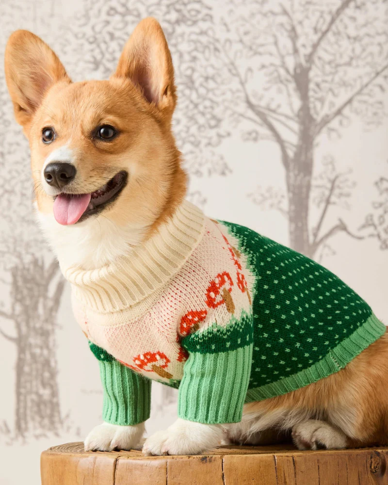 Mushroom Toadstool Knit Dog Sweater - Image 2