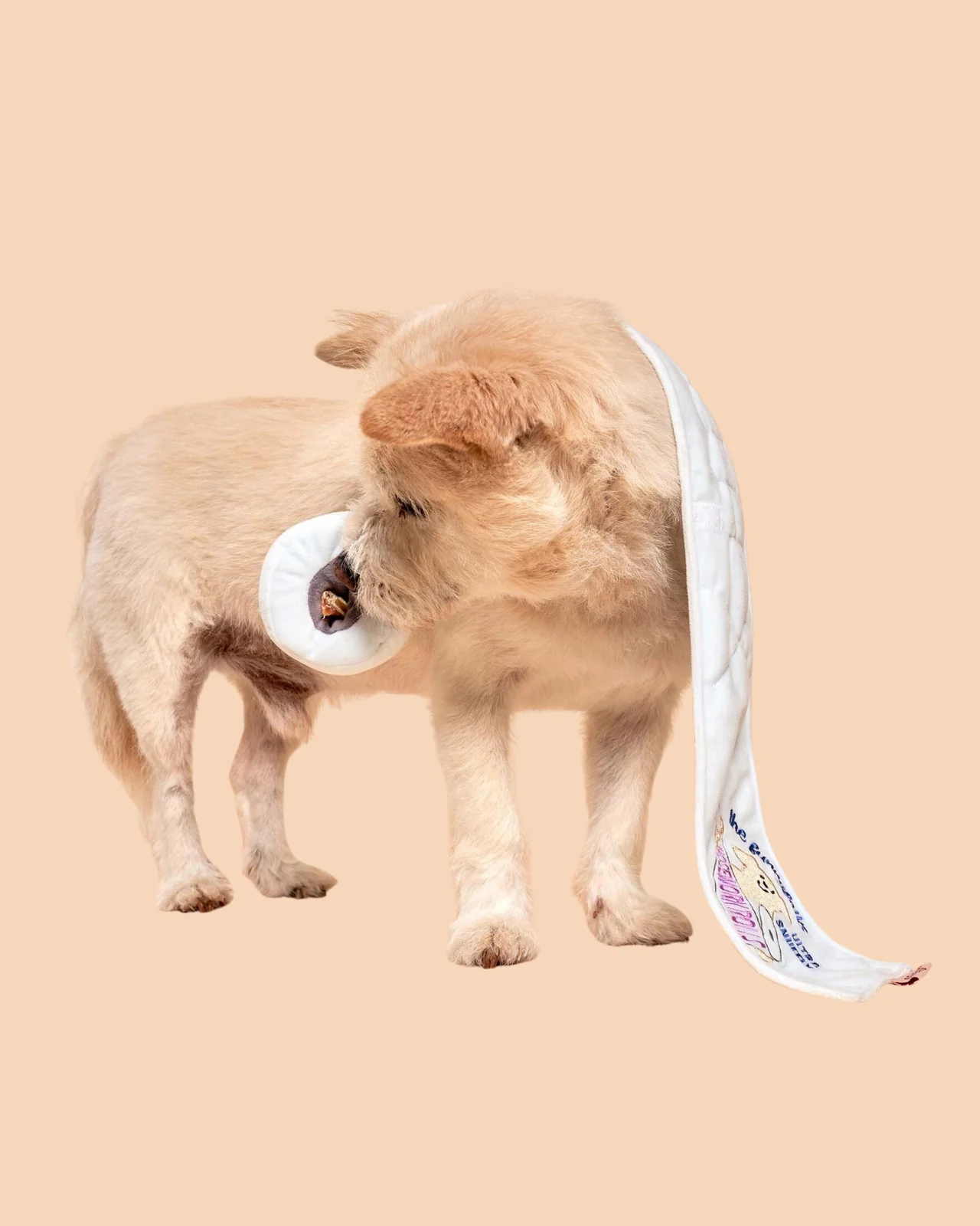 Toilet Paper Nosework Dog Toy - Image 10