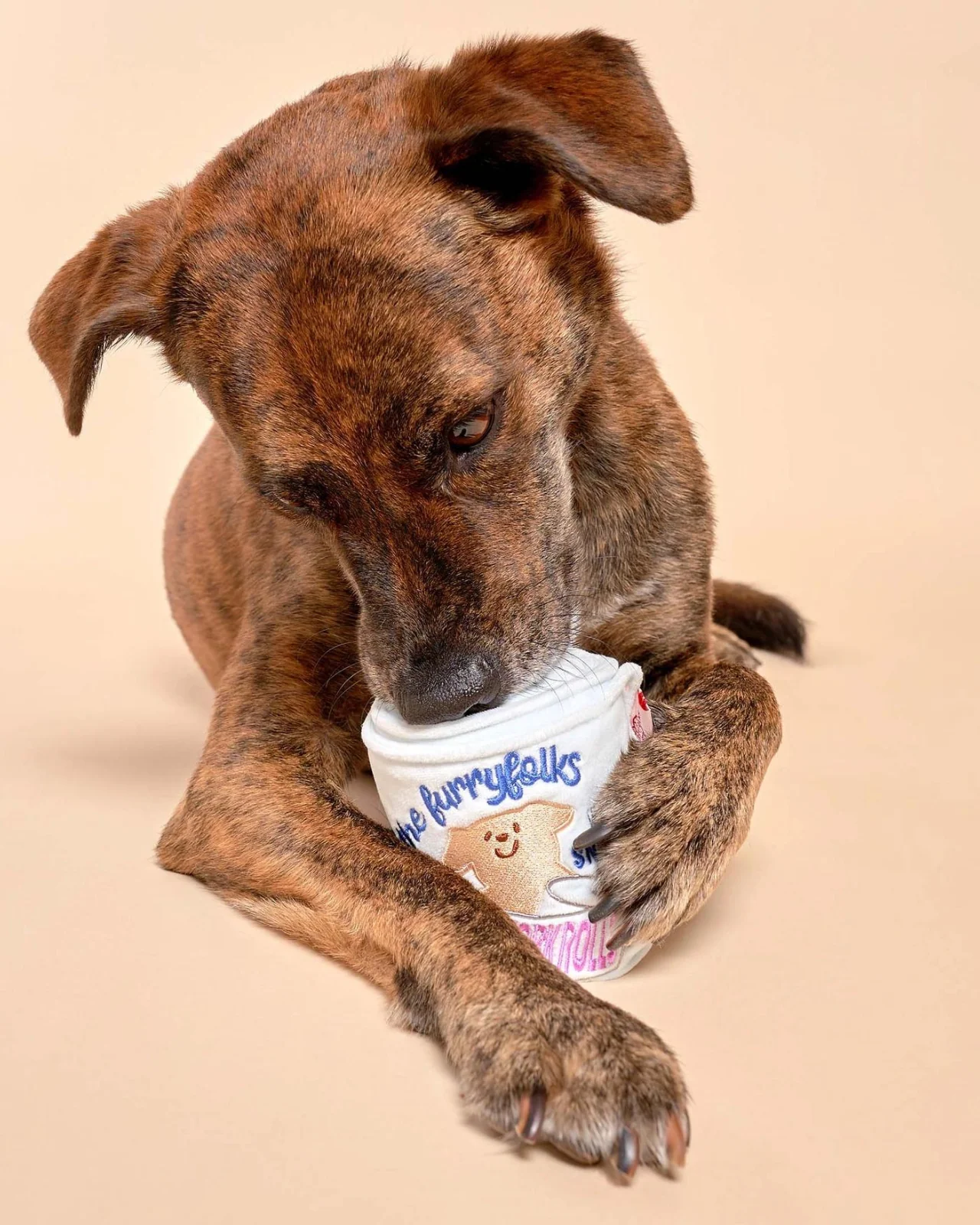 Toilet Paper Nosework Dog Toy - Image 11