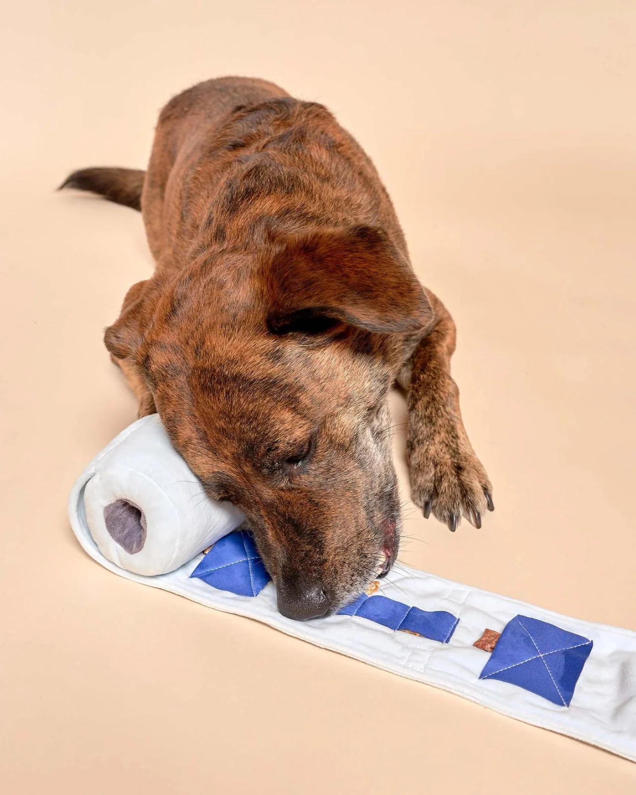Toilet Paper Nosework Dog Toy - Image 2
