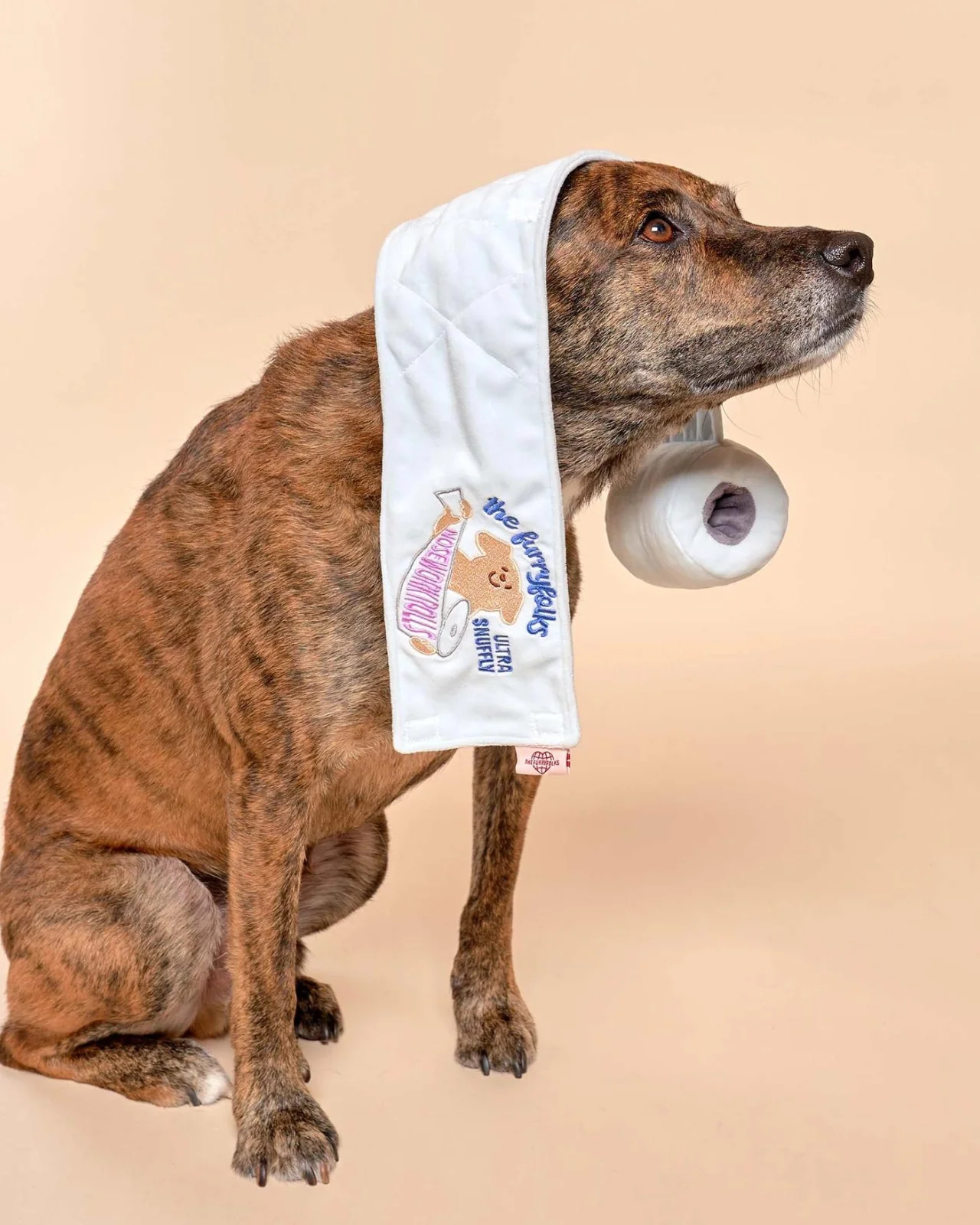 Toilet Paper Nosework Dog Toy - Image 5