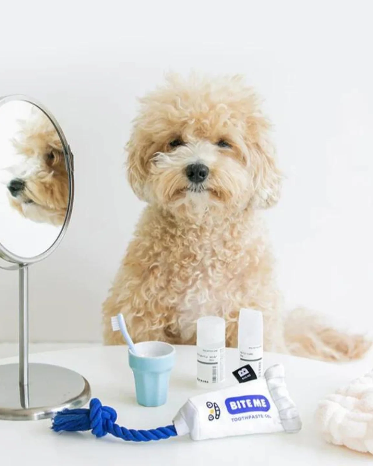 Toothpaste Gel Dog Toy - Image 2