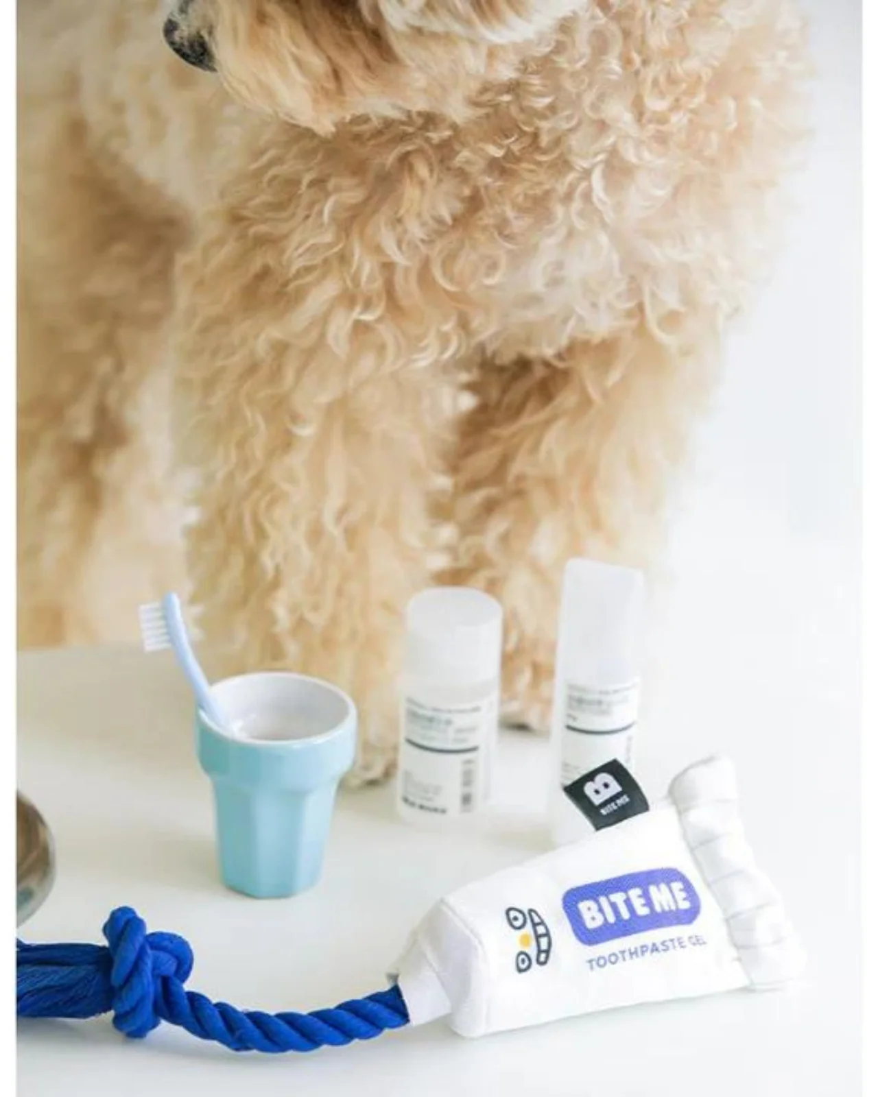 Toothpaste Gel Dog Toy - Image 5