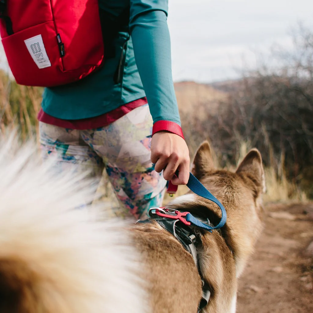 TOPO DESIGNS | Dog Leash in Green - Image 2