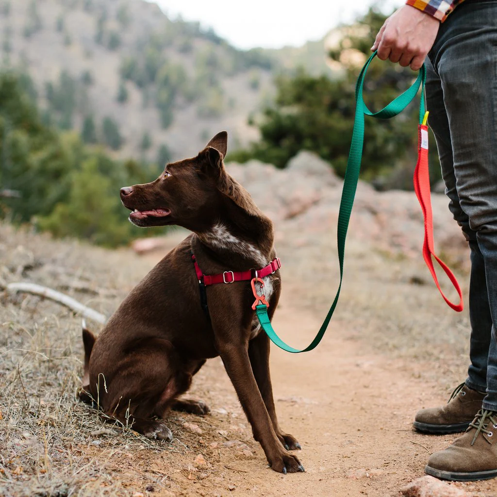 TOPO DESIGNS | Dog Leash in Navy - Image 3