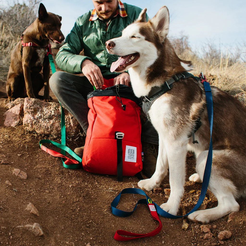TOPO DESIGNS | Dog Leash in Navy - Image 4