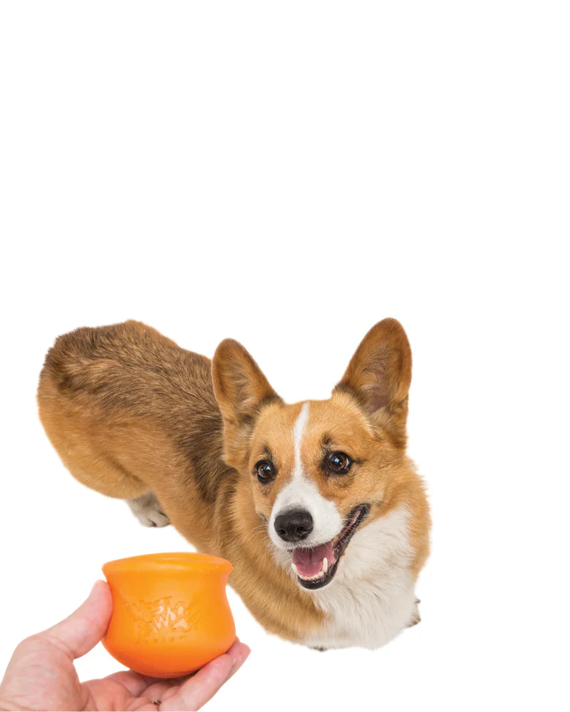 Toppl® Interactive Treat Puzzle Dog Toy (Made in the USA) (FINAL SALE) - Image 9