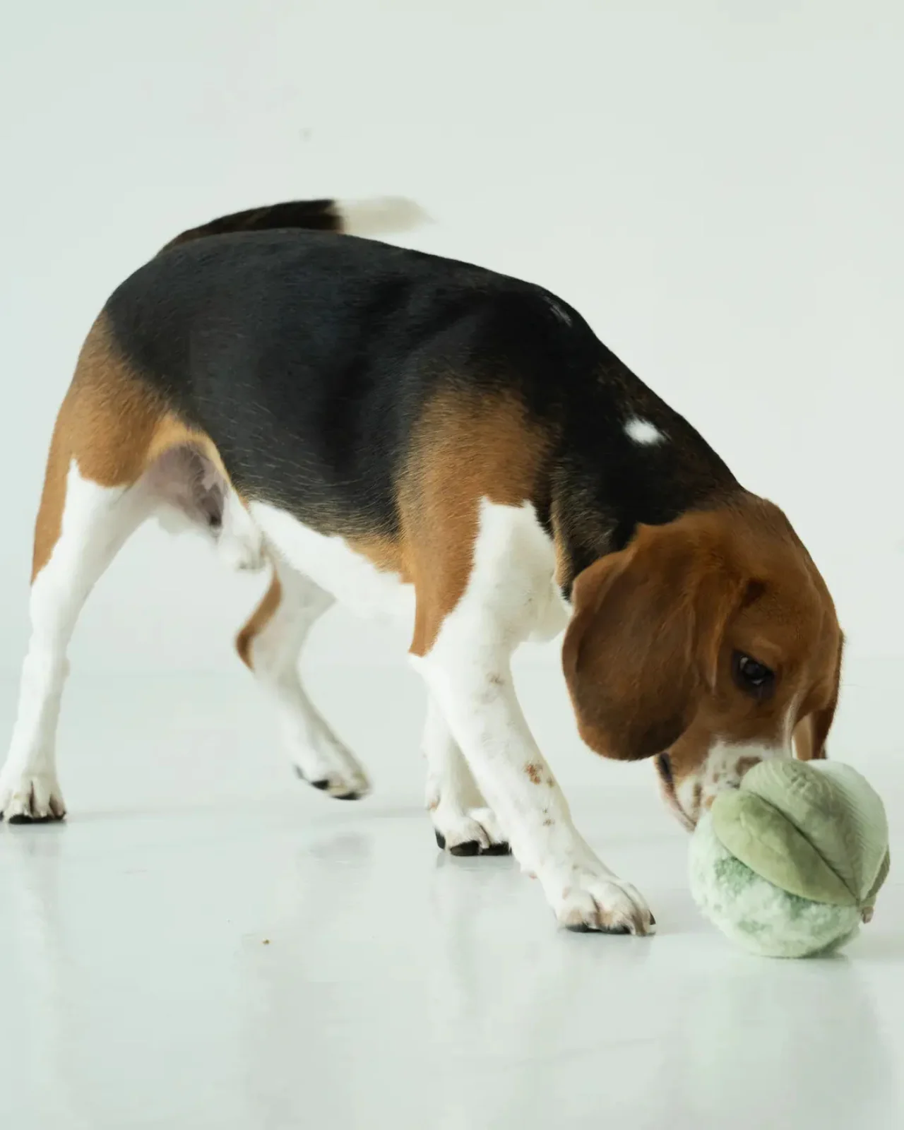 Toto Silent Interactive Snuffle Ball - Image 6