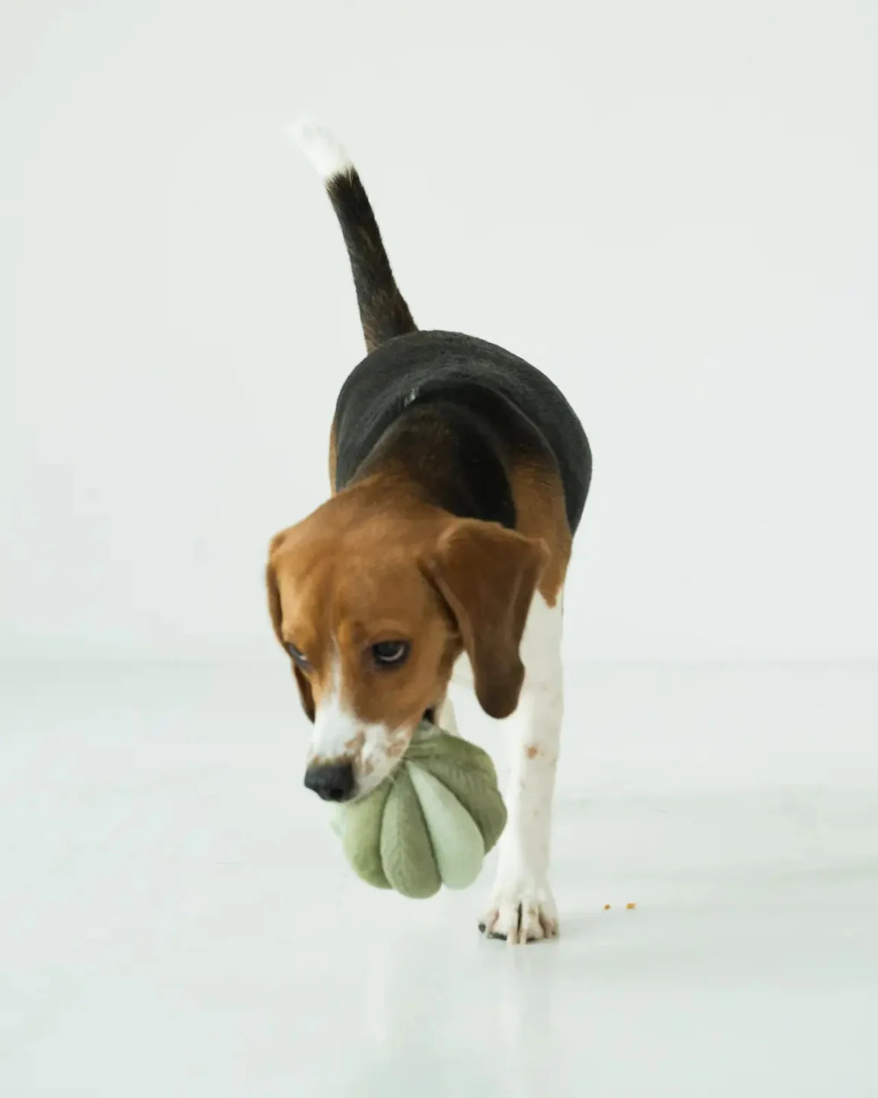 Toto Silent Interactive Snuffle Ball - Image 7