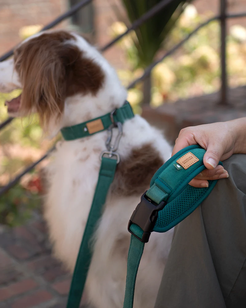 Town Padded Dog Leash - Image 2