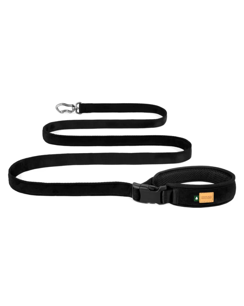 Town Padded Dog Leash - Image 5
