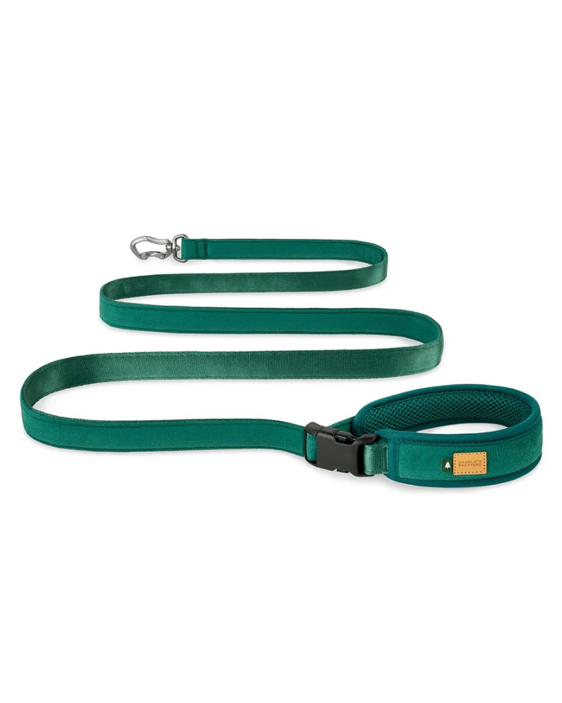 Town Padded Dog Leash - Image 6