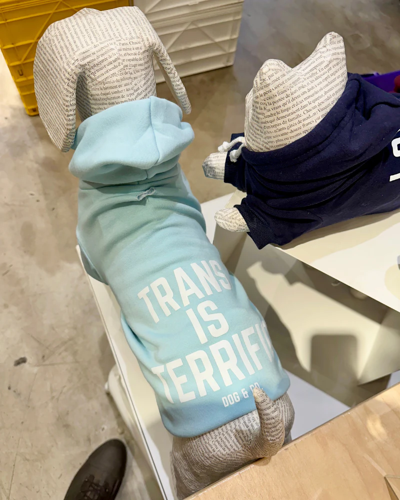 *Trans is Terrific* Graphic Dog Hoodie (Proceeds Benefit the ACLU) - Image 5