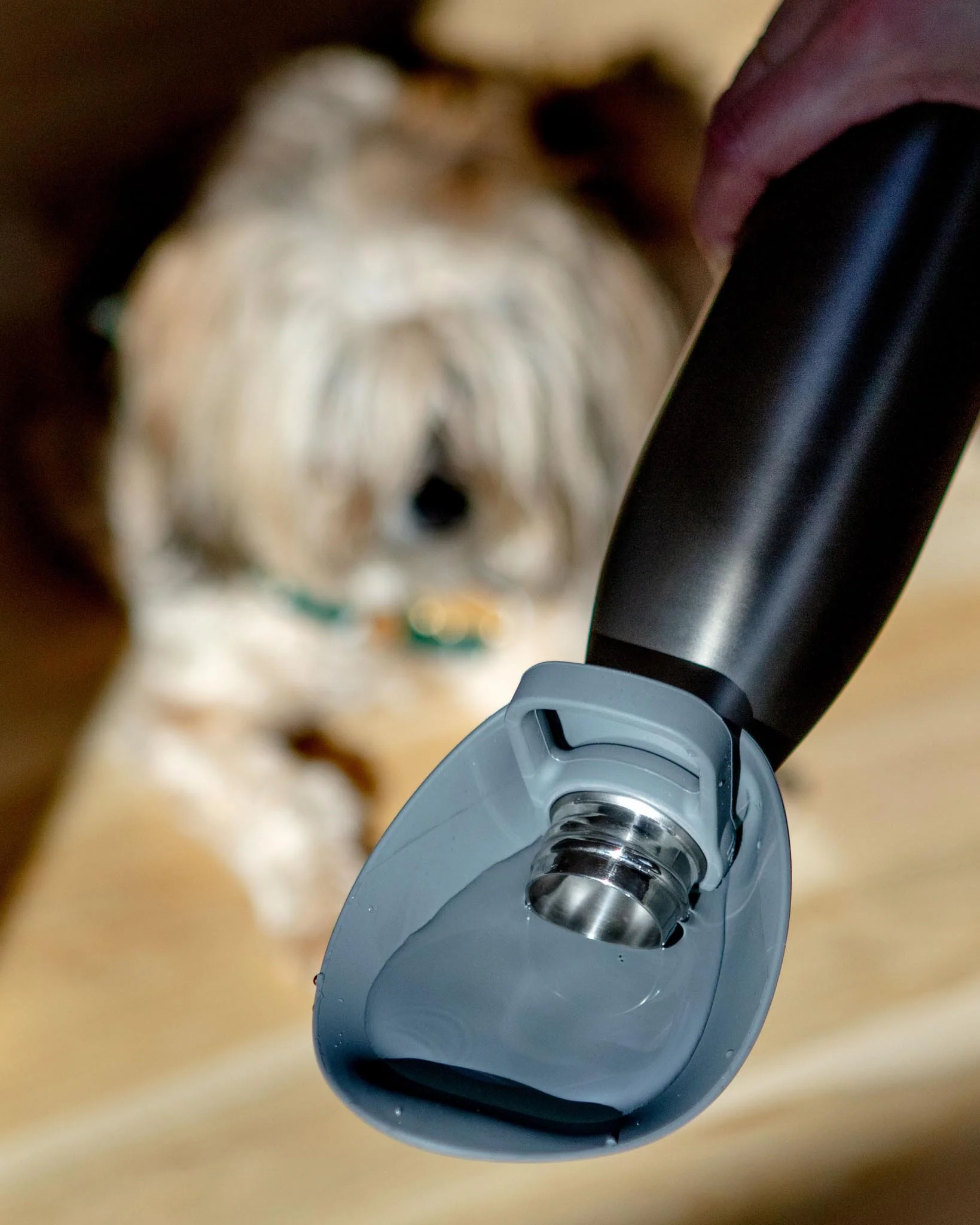 Travel Dog Bowl Bottle Attachment in Grey - Image 3