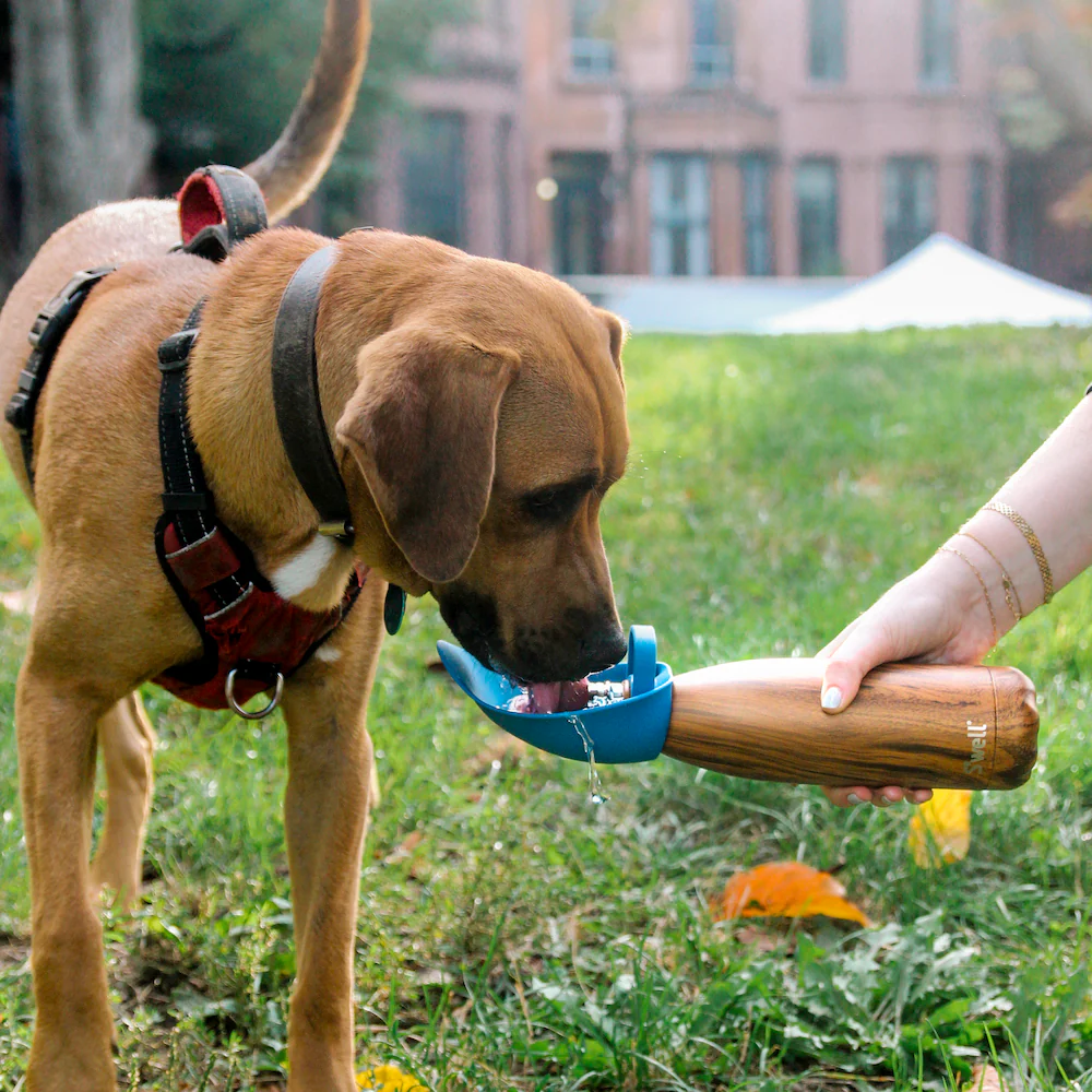 Travel Dog Bowl Bottle Attachment in Grey - Image 8