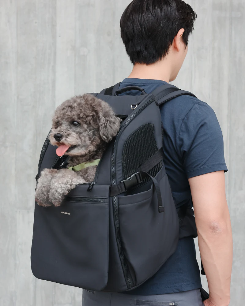Travel Pet Carrier Backpack