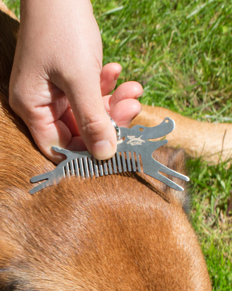 Dog Tick Comb Tool w/ Keychain Attachment - Image 2