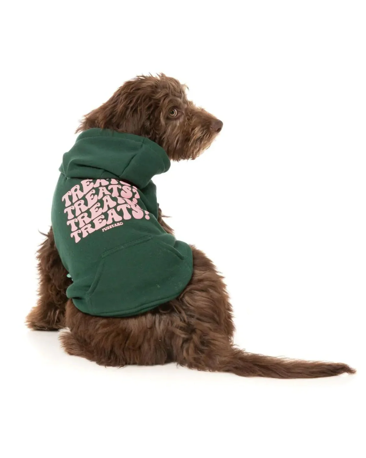 TREATS TREATS TREATS Dog Hoodie in Green (FINAL SALE) - Image 2