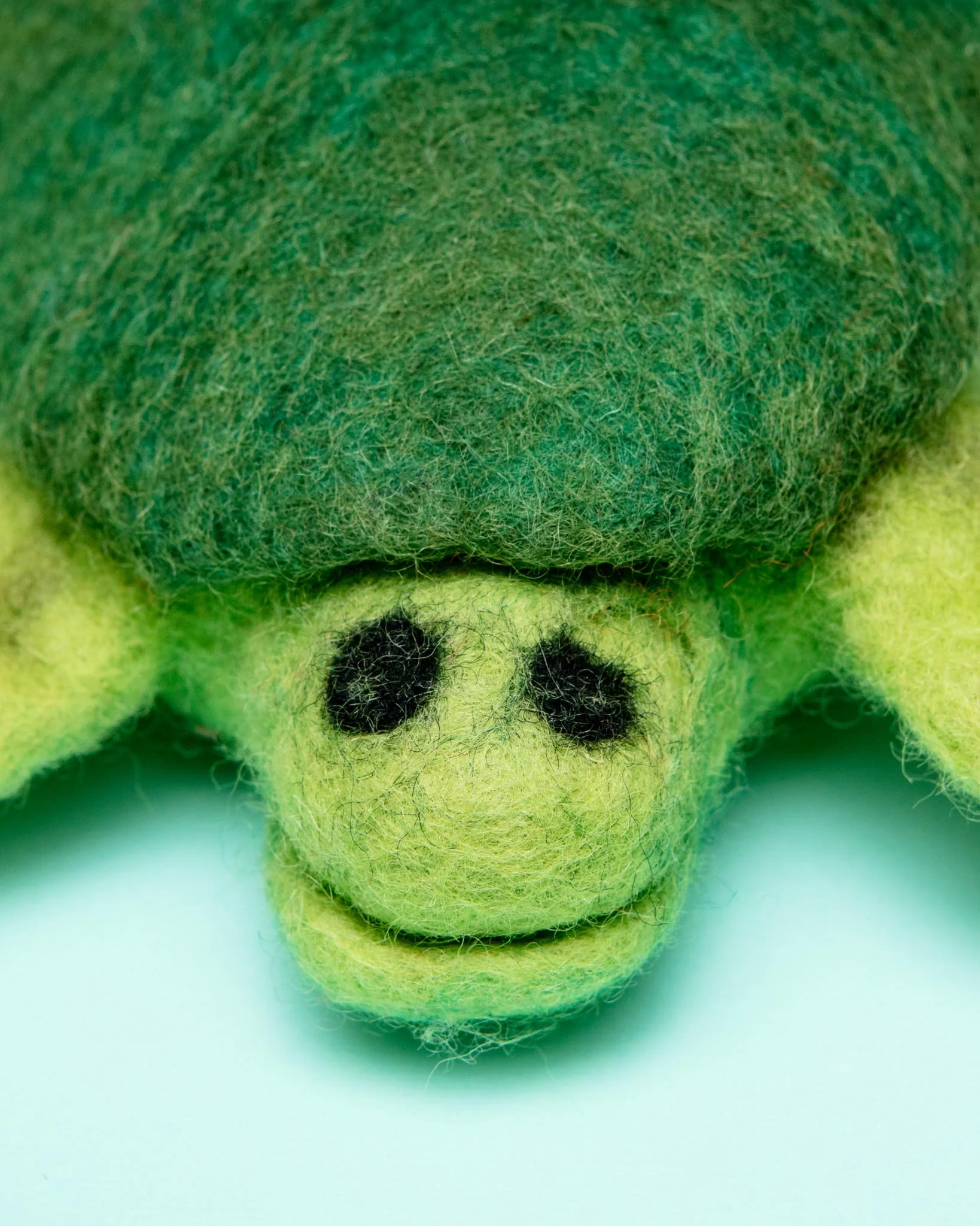 Trevor the Sea Turtle Wool Pet Toy - Image 3