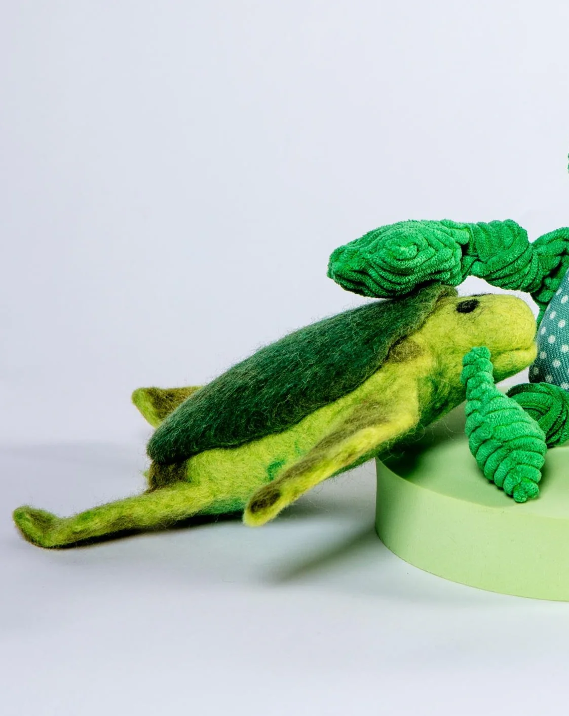 Trevor the Sea Turtle Wool Pet Toy - Image 5