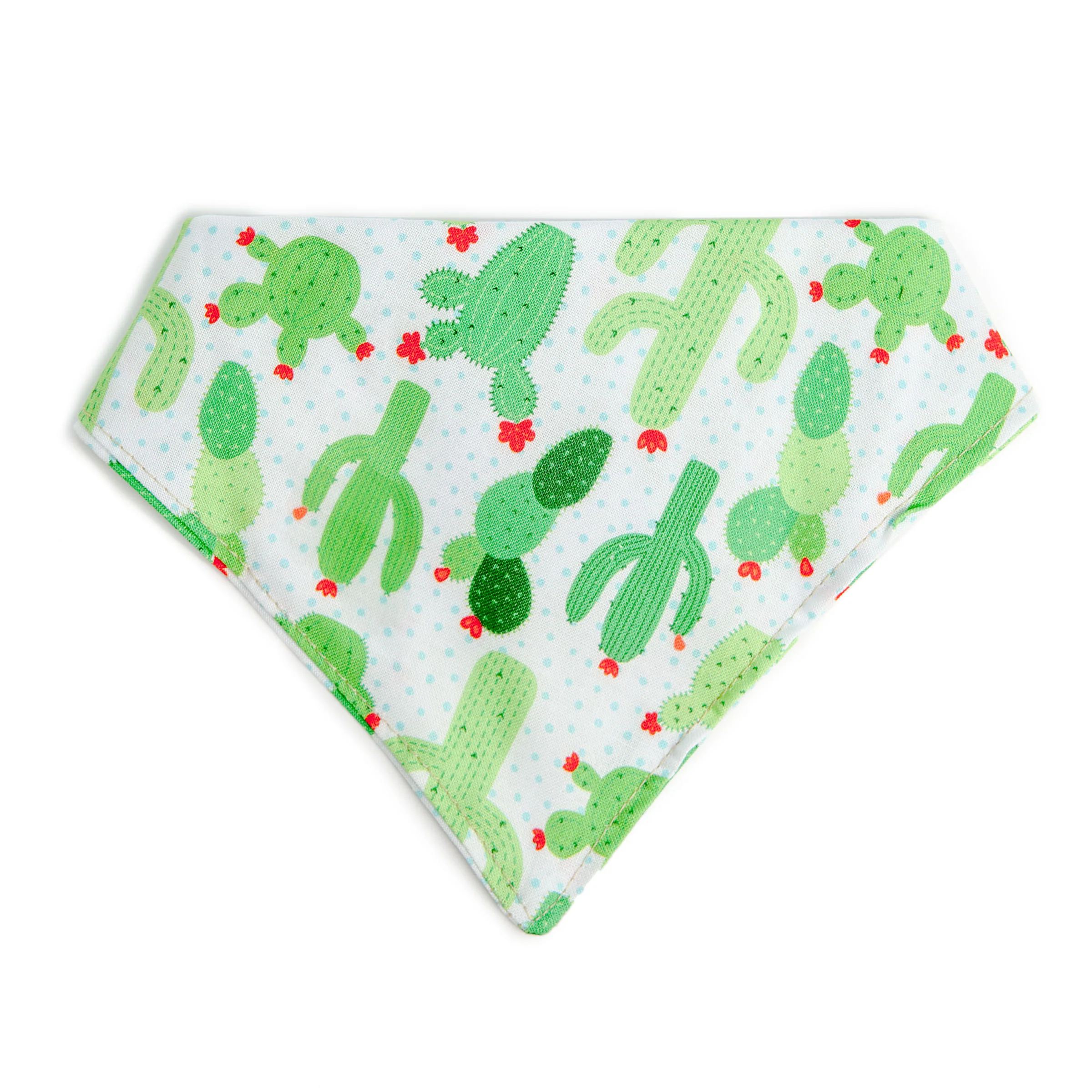TRISH HAMPTON | Cacti Bandana - Image 2