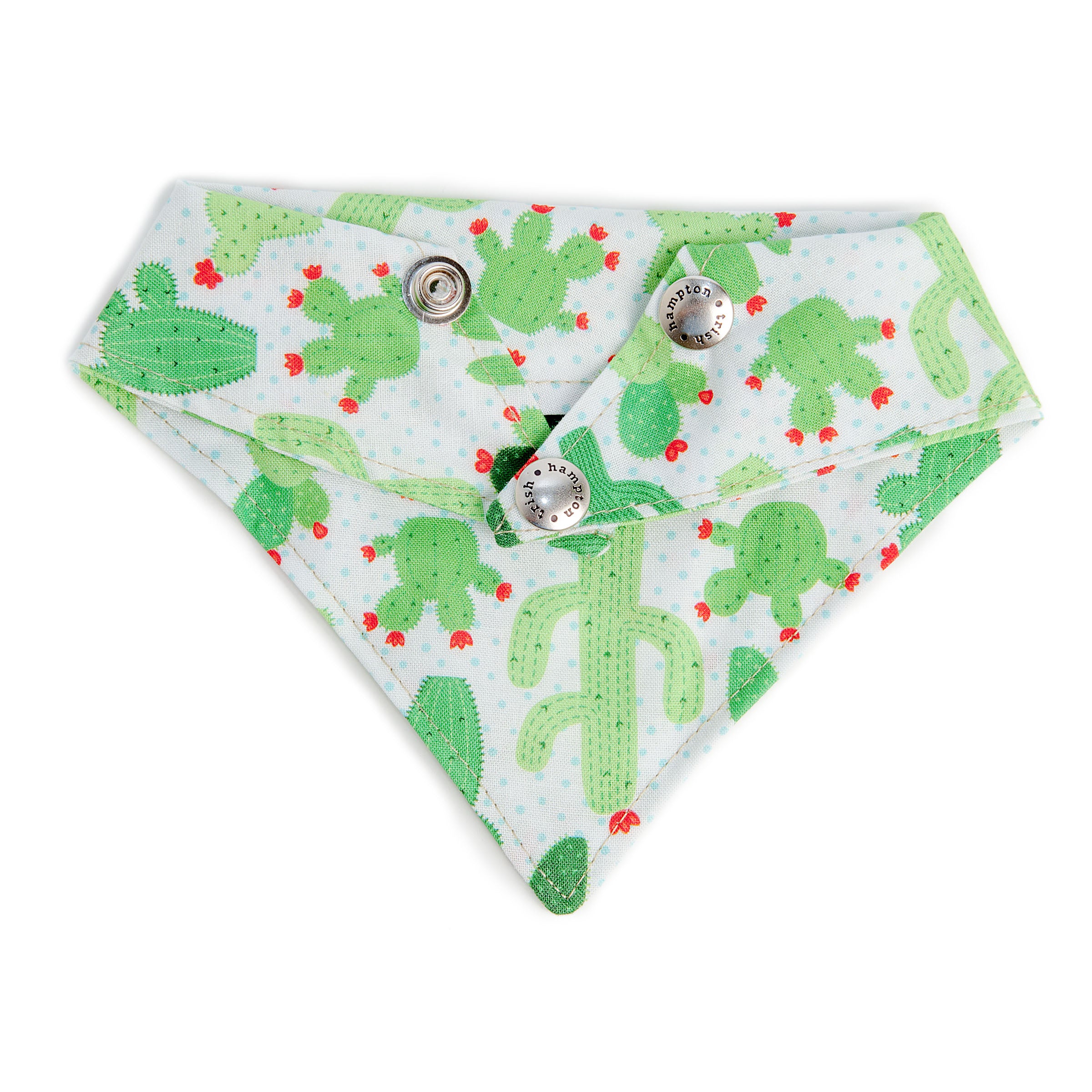 TRISH HAMPTON | Cacti Bandana - Image 3