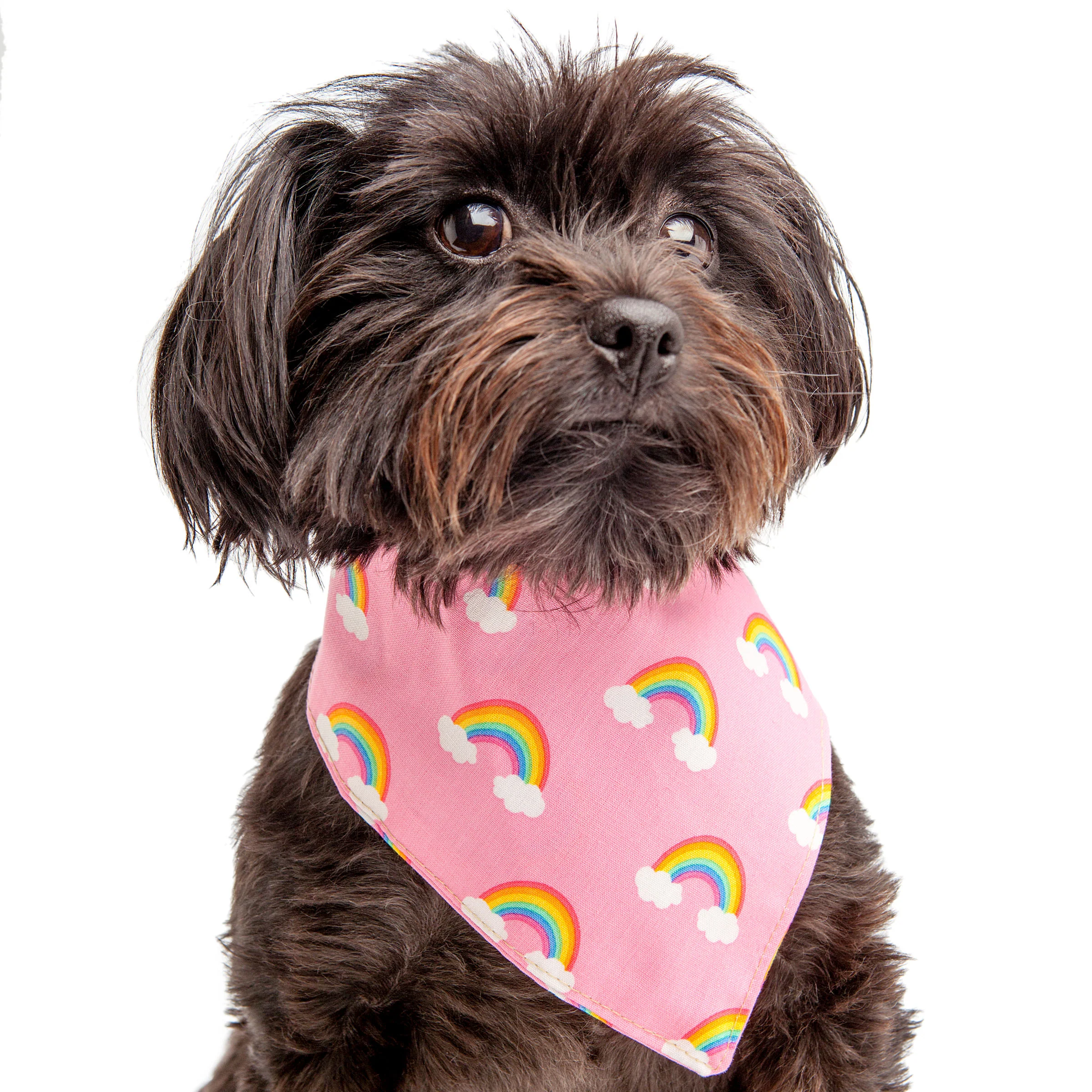 TRISH HAMPTON | Rainbow Bandana