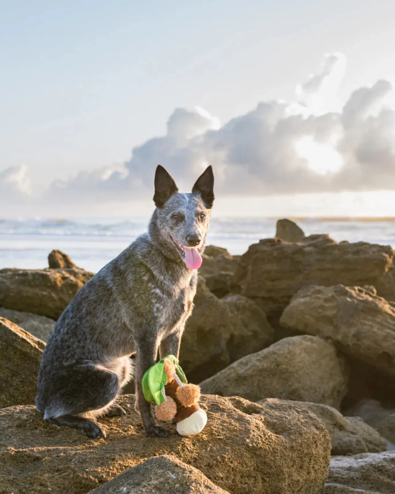 Tropical Paradise Palm Tree Plush Dog Toy - Image 5