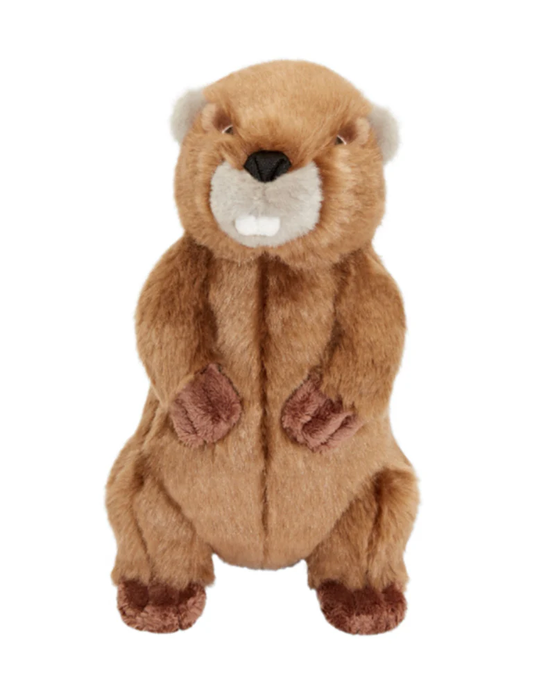 Troy the Beaver Plush Squeaky Dog Toy - Image 5