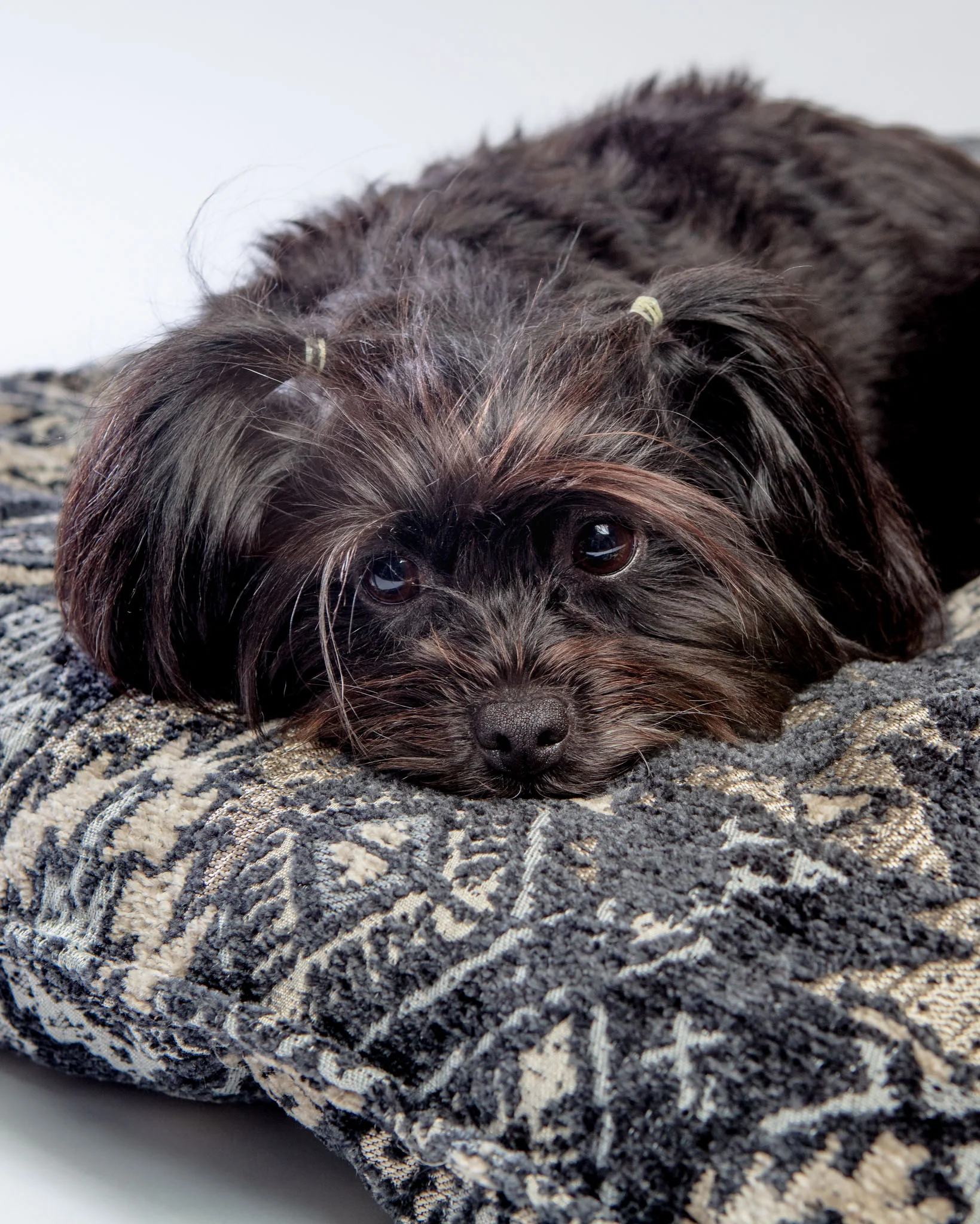 Tufted Dog Cushion in Mendocino (FINAL SALE) - Image 3