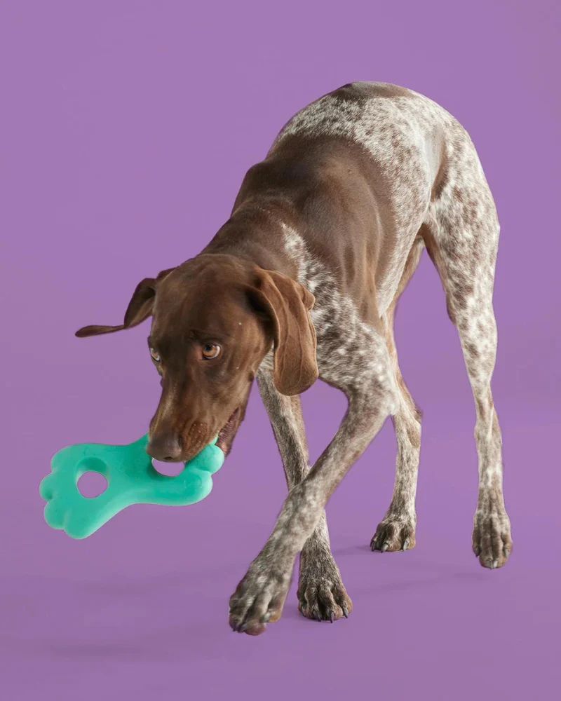 TugPup Silicone Dog Toy (FINAL SALE) - Image 4