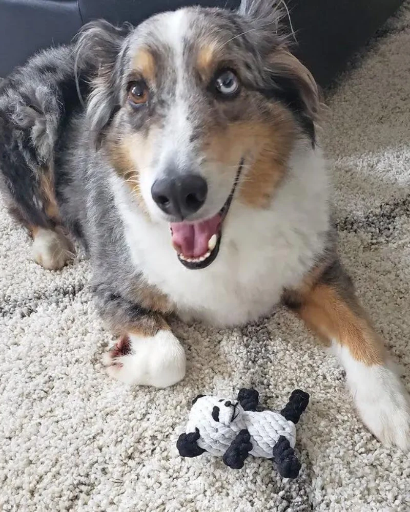 Tumbles the Panda Rope Dog Toy - Image 2