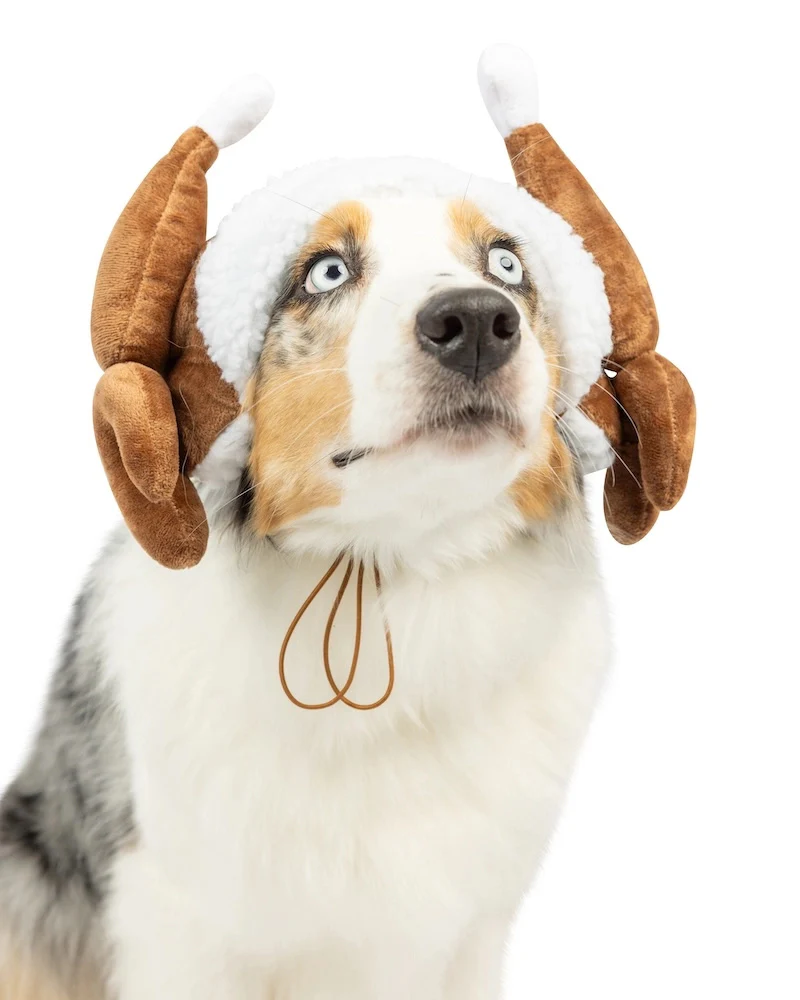 Turkey Taster Dog Hat - Image 3