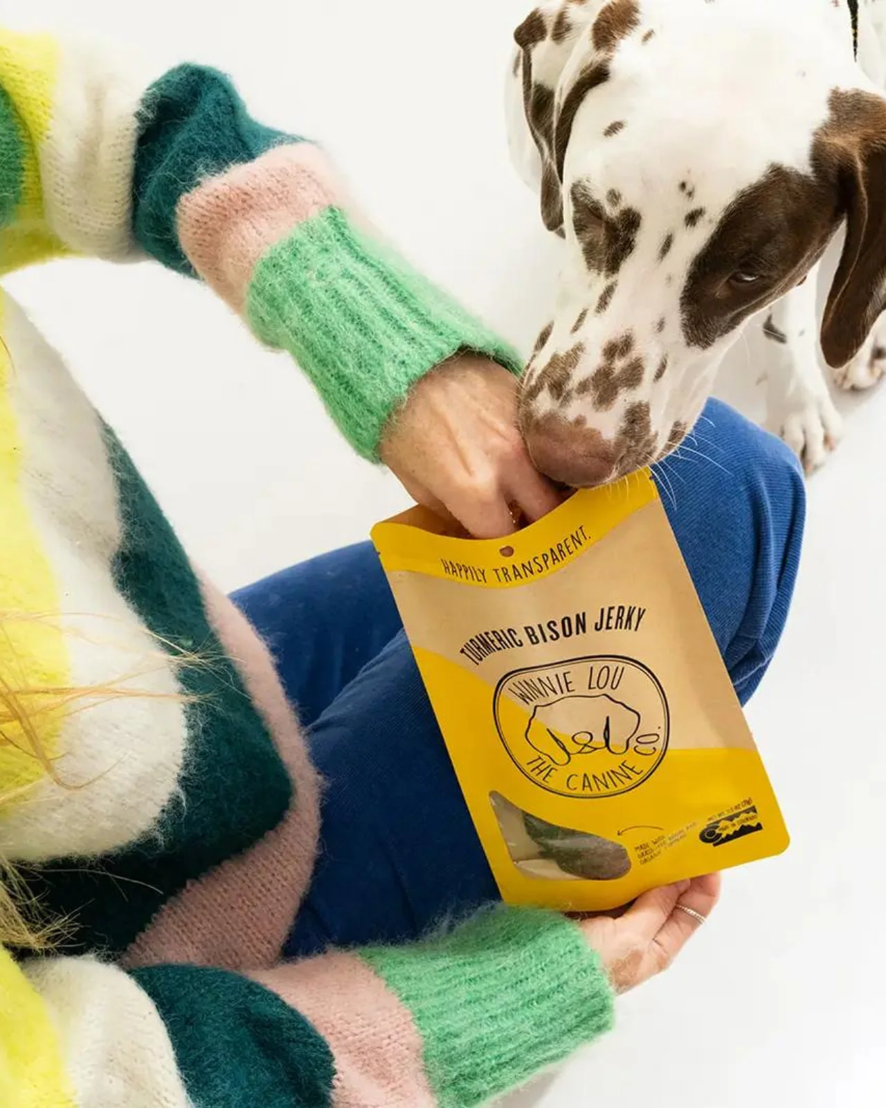 Turmeric Bison Jerky Dog Treat - Image 4