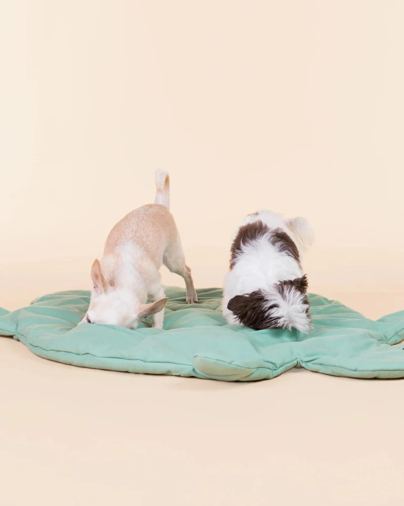 Turtle Dog Enrichment Playmat (37" x 24") - Image 7