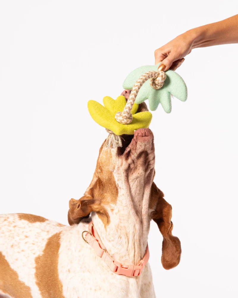 Turtle Doves Felt & Rope Dog Tug Toy - Image 2