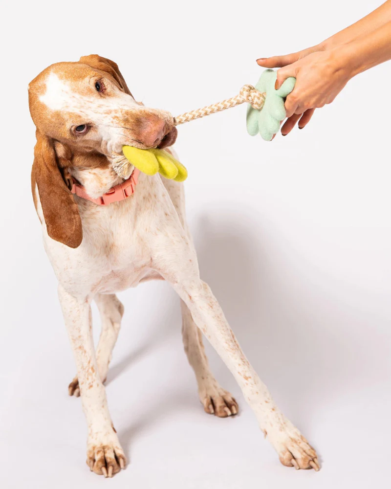 Turtle Doves Felt & Rope Dog Tug Toy - Image 5