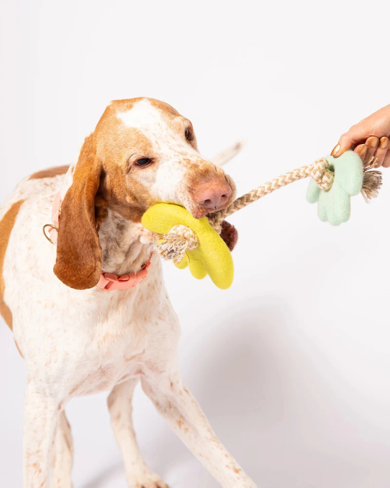 Turtle Doves Felt & Rope Dog Tug Toy - Image 6