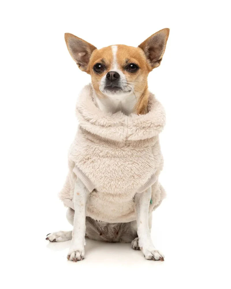 Turtle Teddy Dog Fleece in Beige