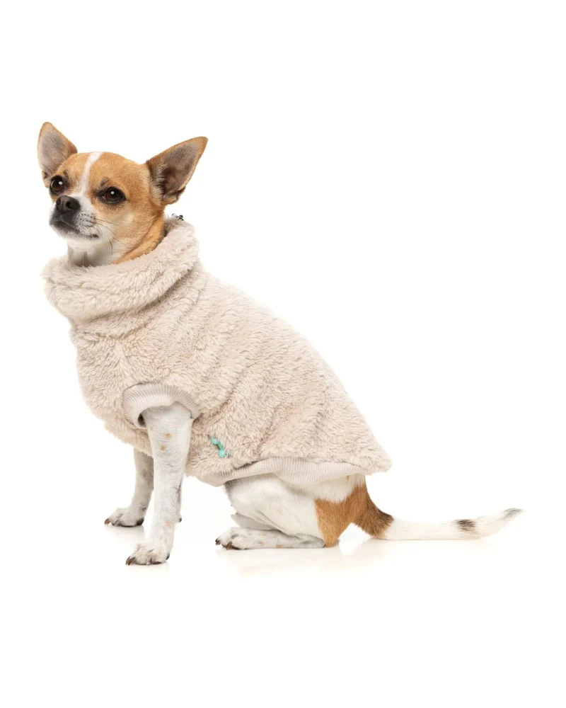 Turtle Teddy Dog Fleece in Beige - Image 2