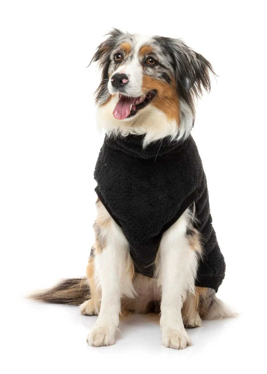 Turtle Teddy Dog Fleece in Black (FINAL SALE) - Image 5