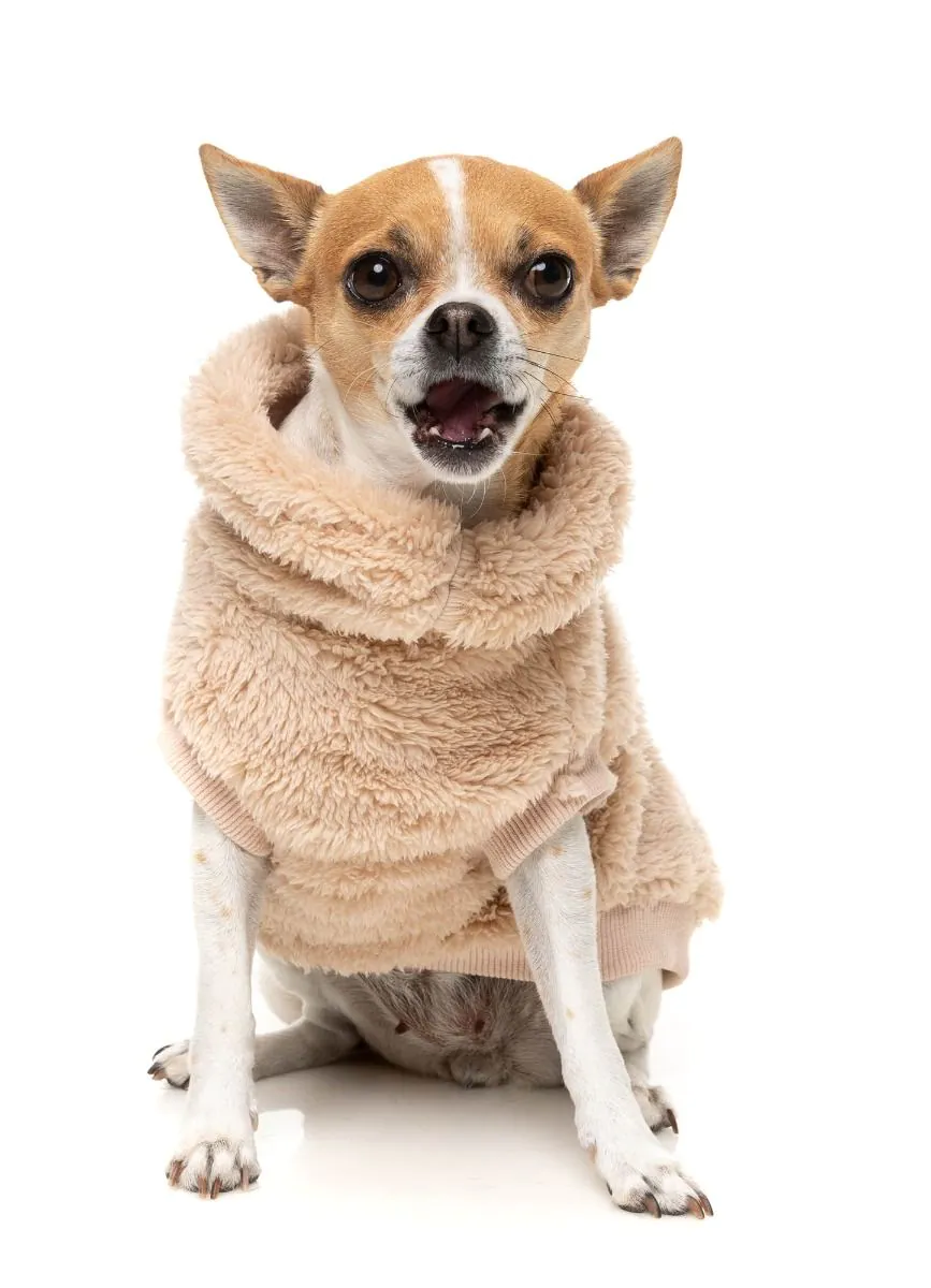 Turtle Teddy Dog Fleece in Desert Tan - Image 7