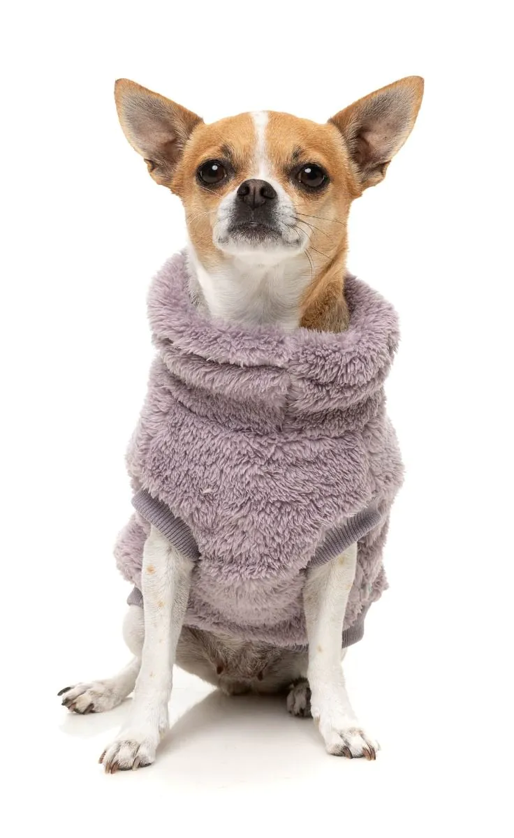 Turtle Teddy Dog Fleece in Lavender (FINAL SALE) - Image 4